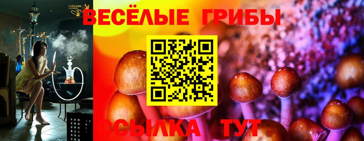 Псилоцибиновые грибы MAGIC MUSHROOMS Кашира