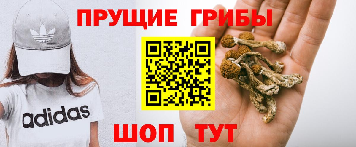 Кашира  Галлюциногенные грибы мухоморы  Вход с VPN 